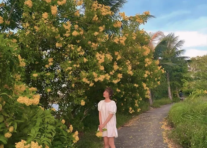 5 Ngủ Royal Lotus Bãi Cháy * Ha Long